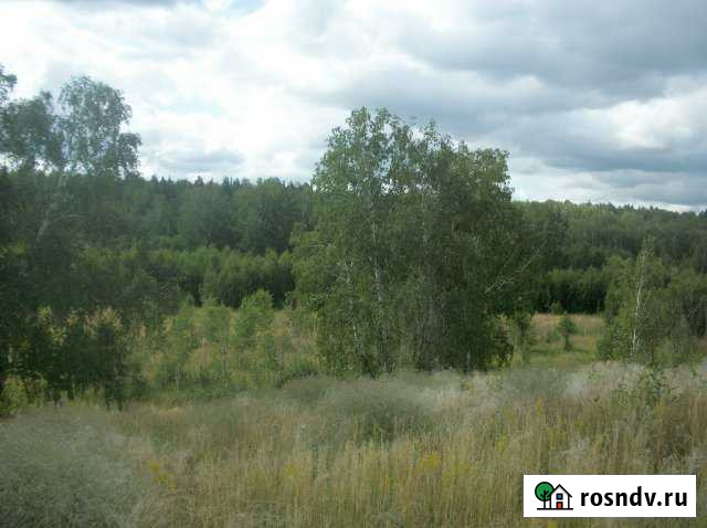 Участок ИЖС 15 сот. на продажу в Куртамыше Куртамыш - изображение 1