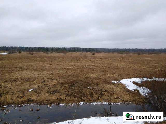 Участок СНТ, ДНП 350 сот. на продажу в Рябово Рябово - изображение 1