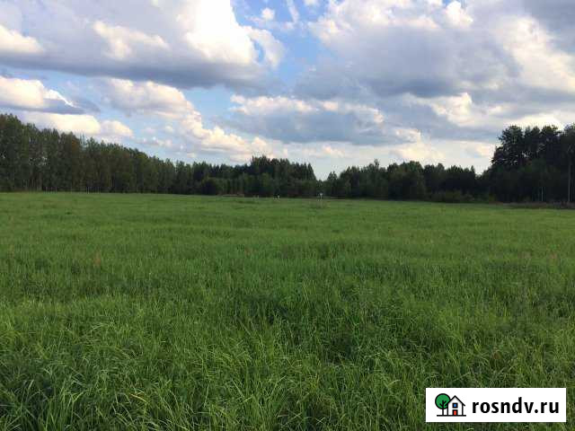 Участок СНТ, ДНП 7 сот. на продажу в Середке Середка - изображение 1