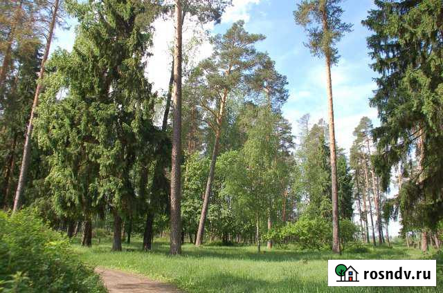 Участок СНТ, ДНП 8 сот. на продажу в Электростали Электросталь - изображение 1