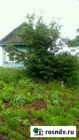 Дом 36 м² на участке 16 сот. на продажу в Зее Зея - изображение 1