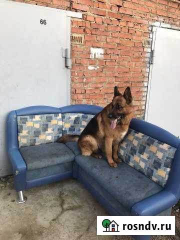 Гараж 26 м² на продажу в Воскресенске Воскресенск - изображение 1