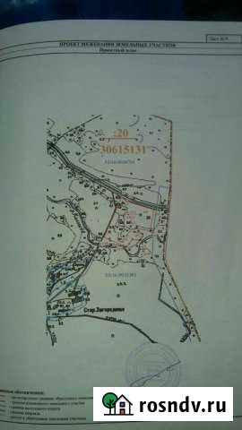 Участок СНТ, ДНП 700 сот. на продажу в Сольцах Сольцы - изображение 1