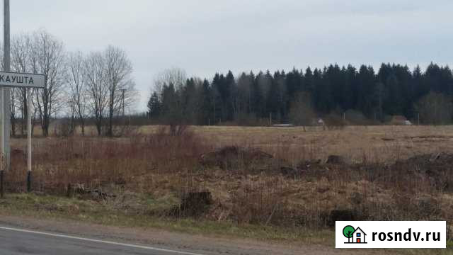 Участок СНТ, ДНП 236 сот. на продажу в Вырице Вырица - изображение 1