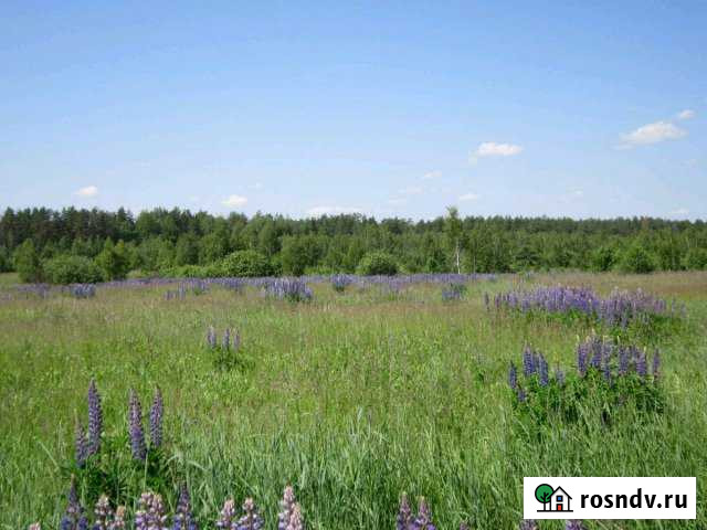 Участок СНТ, ДНП 400 сот. на продажу в Займище Займище - изображение 1