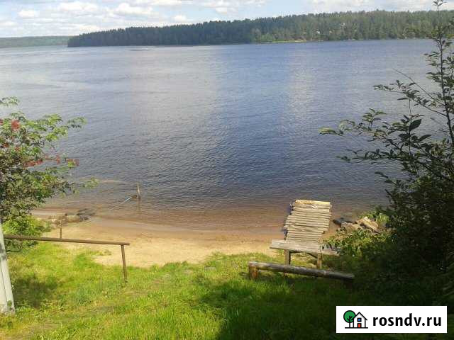 Дача 100 м² на участке 8 сот. в аренду посуточно в Саперном Саперное - изображение 1