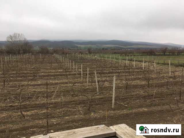 Участок СНТ, ДНП 100 сот. на продажу в Маджалисе Маджалис - изображение 1