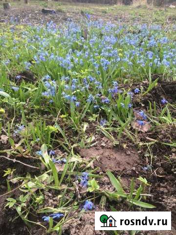 Участок ИЖС 4 сот. на продажу в Королеве Королев - изображение 1