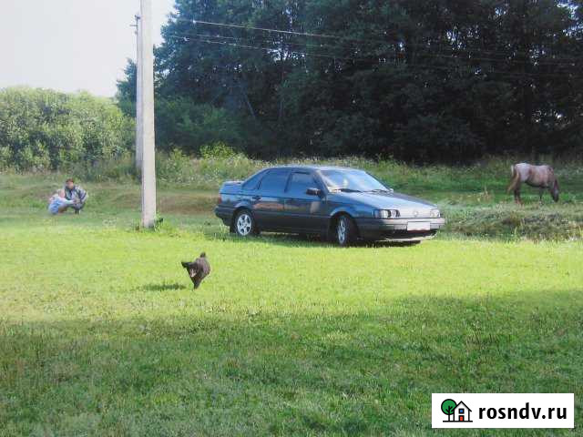 Участок СНТ, ДНП 14 сот. на продажу в Ельне Ельня - изображение 1