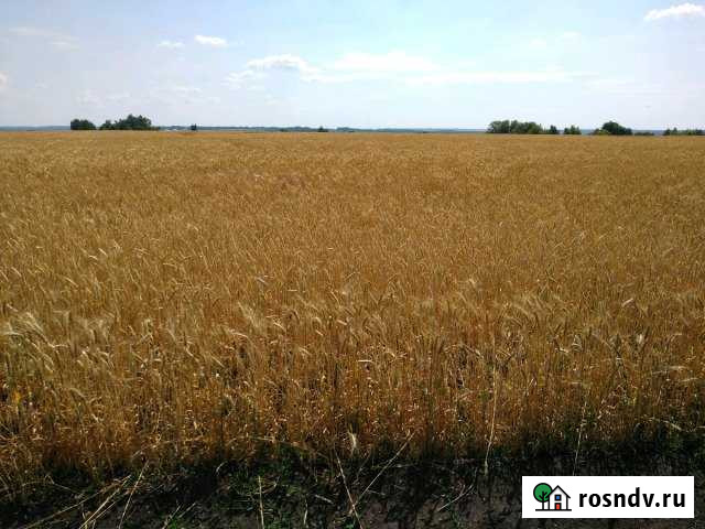 Участок СНТ, ДНП 4400 сот. на продажу в Бехтеевке Бехтеевка - изображение 1