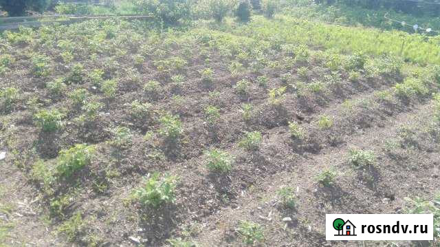 Дача 20 м² на участке 8 сот. на продажу в Краснотурьинске Краснотурьинск - изображение 1