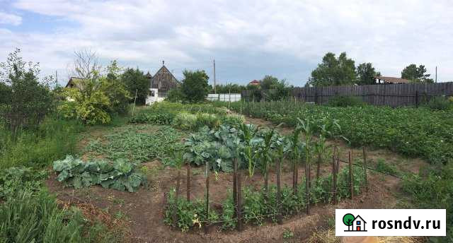 Дача 20 м² на участке 8 сот. на продажу в Черногорске Черногорск - изображение 1