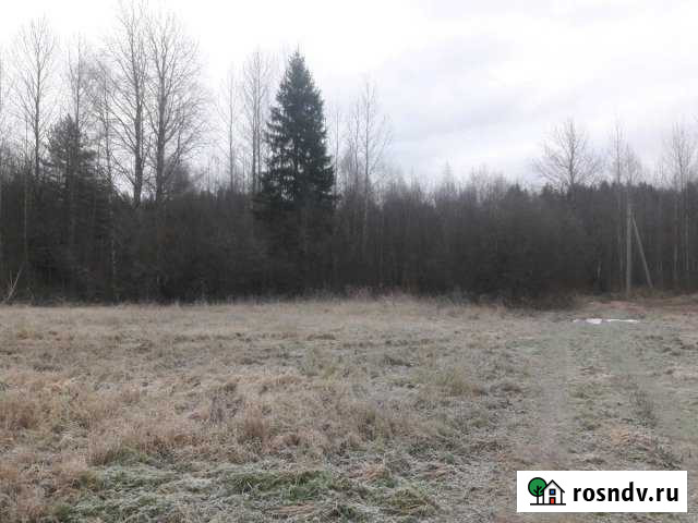 Участок ИЖС 10 сот. на продажу в Тихвине Тихвин - изображение 1