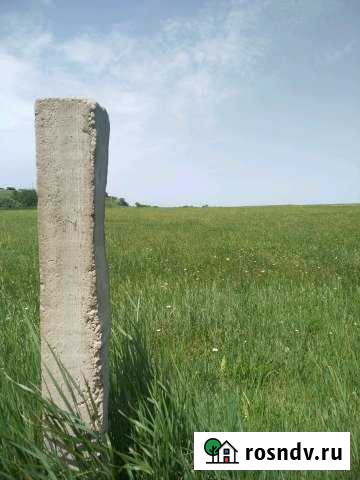 Участок СНТ, ДНП 66 сот. в аренду в Ферсманово Ферсманово - изображение 1