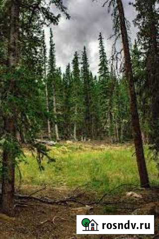 Участок СНТ, ДНП 15 сот. на продажу в Дегтярске Дегтярск - изображение 1