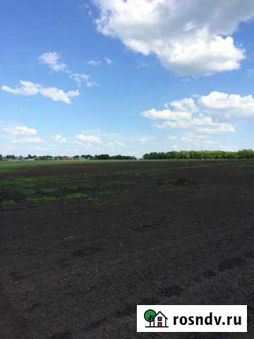 Участок ИЖС 10 сот. на продажу в Рощинском Рощинский - изображение 1