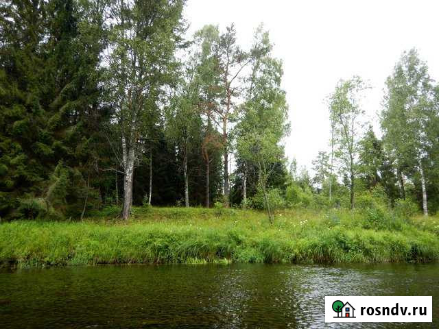 Участок СНТ, ДНП 1622 сот. на продажу в Оленино Оленино - изображение 1