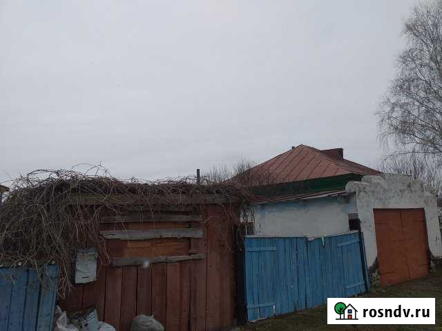 Дом 52.1 м² на участке 40 сот. на продажу в Целинном Алтайского края Целинное - изображение 1