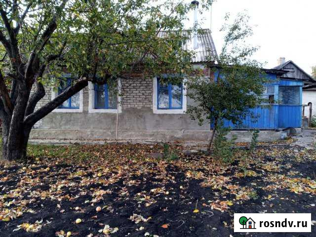 Дом 48 м² на участке 8 сот. на продажу в Панино Панино - изображение 1