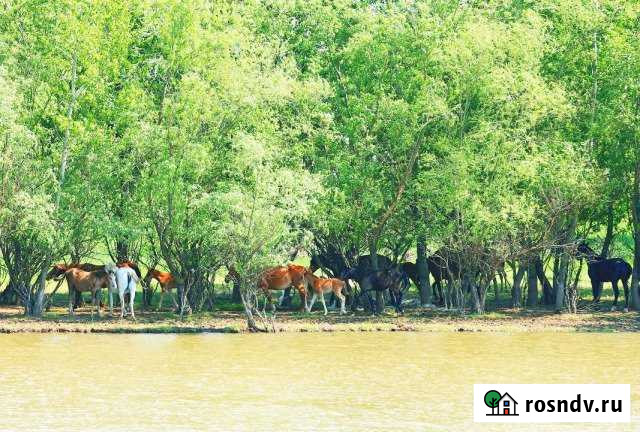 Участок СНТ, ДНП 450 сот. на продажу в Оранжереях Оранжереи - изображение 1