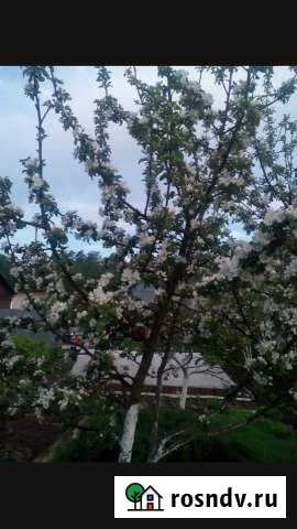 Участок СНТ, ДНП 2 сот. на продажу в Королеве Королев - изображение 1