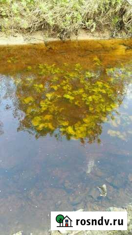 Участок ИЖС 15 сот. на продажу в Никологорах Никологоры - изображение 1