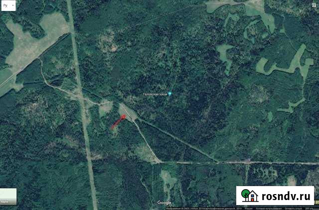 Участок СНТ, ДНП 241 сот. на продажу в Богашево Богашево - изображение 1