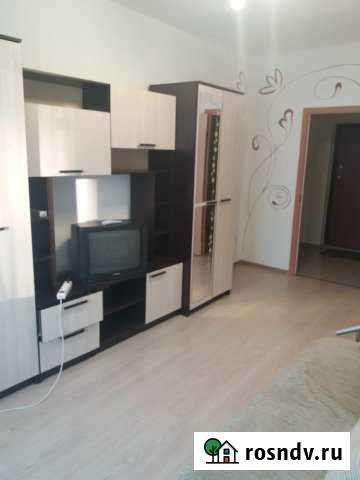 1-комнатная квартира, 38 м², 3/12 эт. в аренду на длительный срок во Всеволожске Всеволожск - изображение 1