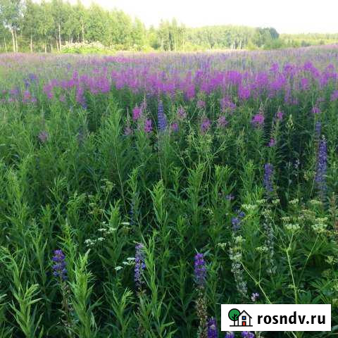 Участок ИЖС 900 сот. на продажу в Лакинске Лакинск - изображение 1