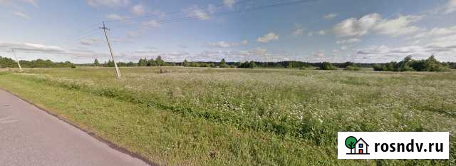 Участок СНТ, ДНП 218 сот. на продажу в Кингисеппе Кингисепп - изображение 1