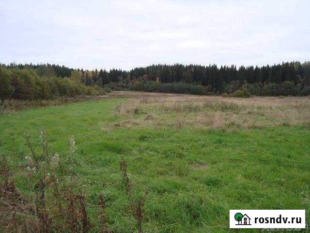 Участок СНТ, ДНП 340 сот. на продажу в Кузнечном Кузнечное - изображение 1