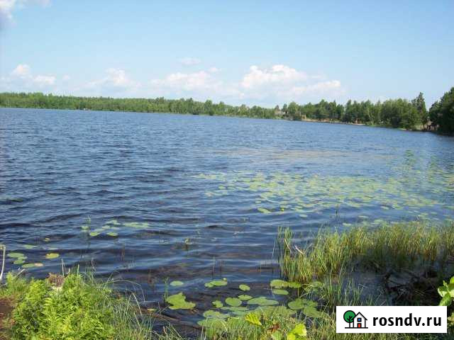 Дача 55 м² на участке 1 сот. в аренду на длительный срок в Воротынце Воротынец - изображение 1