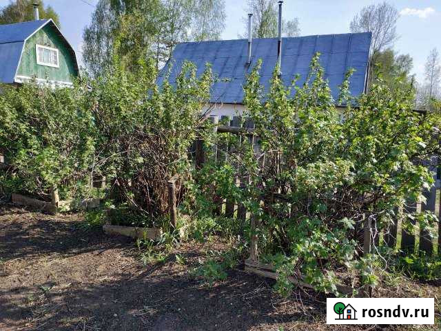 Участок СНТ, ДНП 4 сот. на продажу в Новом Республики Удмуртия Новый - изображение 1