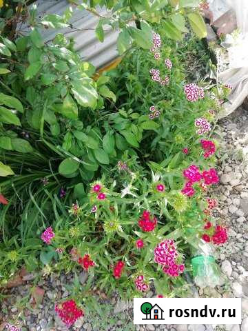 Дача 20 м² на участке 5 сот. на продажу в Усть-Лабинске Усть-Лабинск - изображение 1