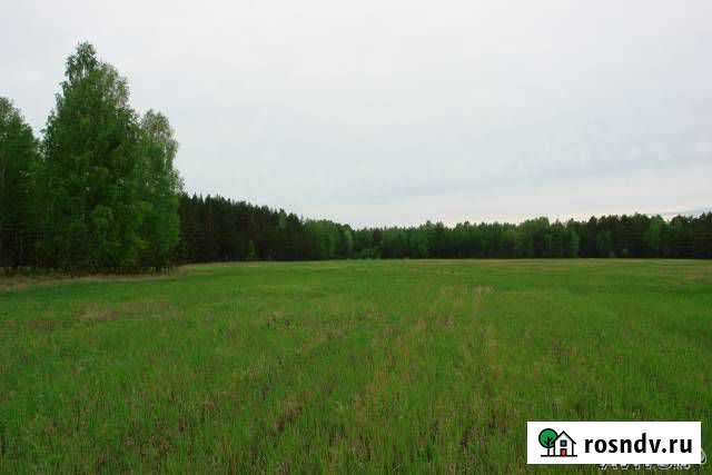 Участок СНТ, ДНП 10558 сот. на продажу в Сухобузимском Сухобузимское - изображение 1