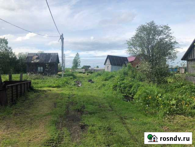 Участок СНТ, ДНП 6 сот. на продажу в Любане Любань - изображение 1