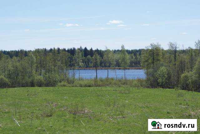 Участок СНТ, ДНП 1000 сот. на продажу в Осташкове Осташков - изображение 1