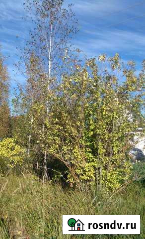 Участок СНТ, ДНП 6 сот. на продажу в Любане Любань - изображение 1