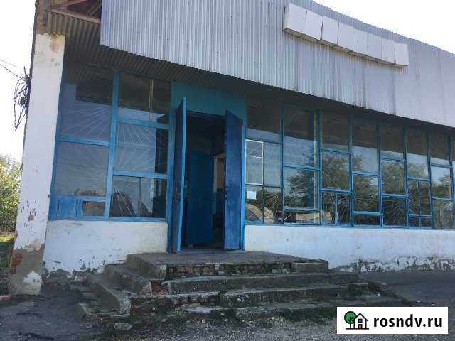 Сдам помещение свободного назначения, 97.3 кв.м. Белое - изображение 1
