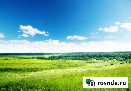 Участок СНТ, ДНП 120 сот. на продажу в Первомайском Челябинской области Первомайский - изображение 1