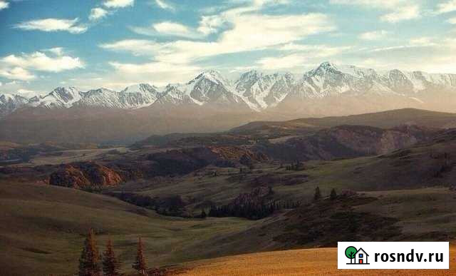 Дом 50 м² на участке 20 сот. в аренду посуточно в Кош-Агаче Кош-Агач - изображение 1