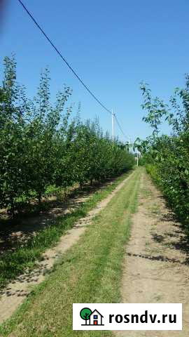 Участок СНТ, ДНП 270 сот. на продажу в Совхозном Краснодарского края Совхозный - изображение 1