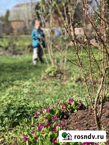 Дача 40 м² на участке 6 сот. на продажу в Бершете Бершеть - изображение 1