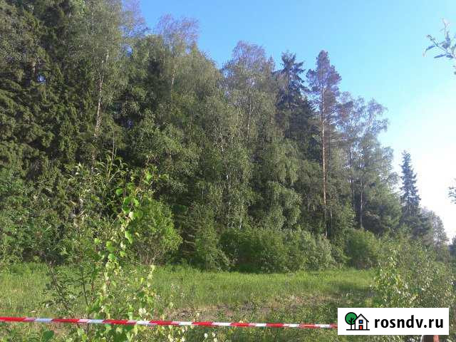 Участок СНТ, ДНП 16 сот. на продажу в Советском Ленинградской области Советский - изображение 1