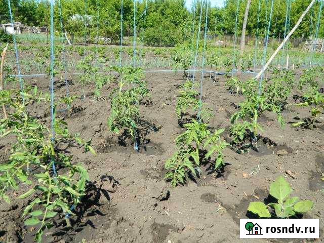 Участок ИЖС 12 сот. на продажу в Приволжье Приволжье - изображение 1