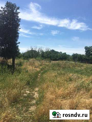 Участок ИЖС 25 сот. на продажу в Камышеватской Камышеватская - изображение 1