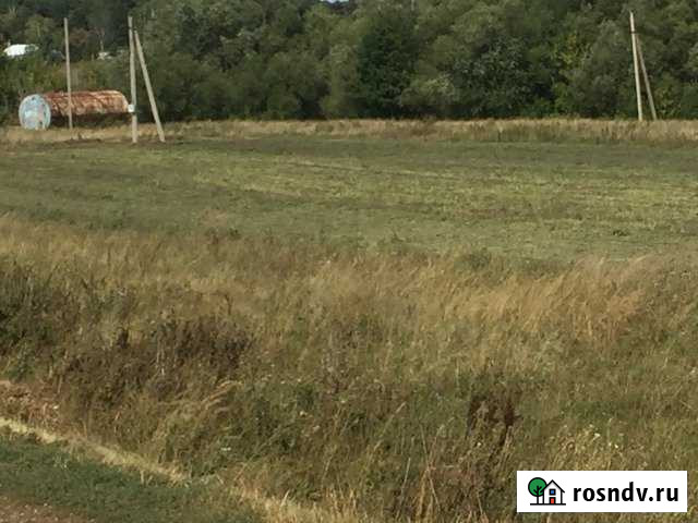 Участок ИЖС 30 сот. на продажу в Ефремове Ефремов - изображение 1