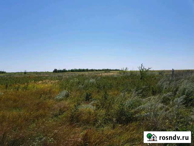 Участок ИЖС 15 сот. на продажу в Ольгинской Ростовской области Ольгинская - изображение 1