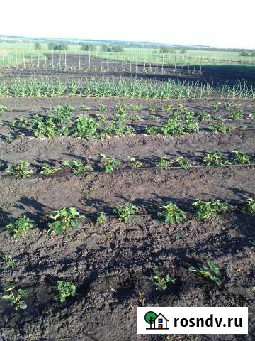 Участок ИЖС 57 сот. на продажу в Старом Шайгово Старое Шайгово - изображение 1