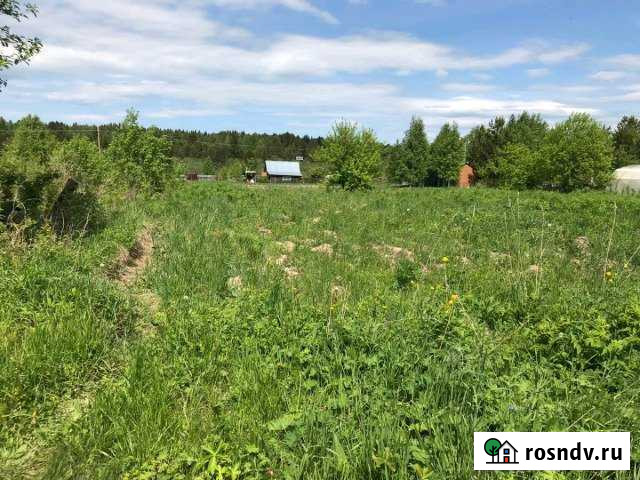 Участок СНТ, ДНП 1 сот. на продажу в Кузино Кузино - изображение 1